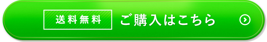 送料無料ご購入はこちら