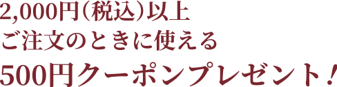 2,000(税込)以上ご注文のときに使える500円クーポンプレゼント！