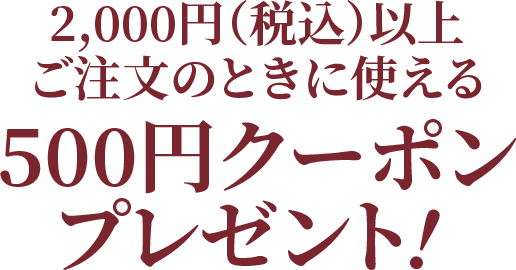 2,000(税込)以上ご注文のときに使える500円クーポンプレゼント！